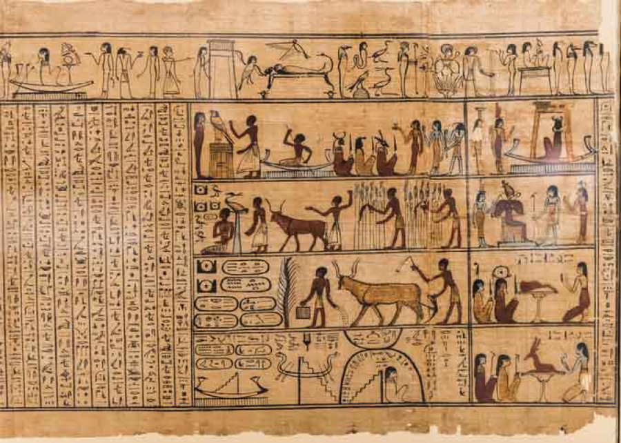 Strămoșii cărții: papirus, pergament, hârtie